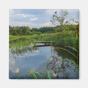 Natuur Landschapslandschap Bosmeer Pier Belarus Magneet