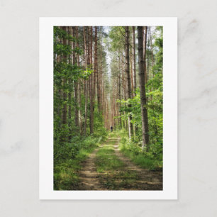 Natuur Landschapslandschap Bossen in Wit-Rusland Briefkaart