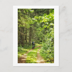 Natuur Landschapslandschap Bossen in Wit-Rusland Briefkaart