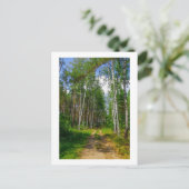 Natuur Landschapslandschap Forest Birch Belarus Briefkaart (Staand voorkant)