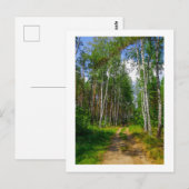 Natuur Landschapslandschap Forest Birch Belarus Briefkaart (Voorkant / Achterkant)