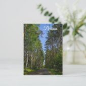 Natuur Landschapslandschap Forest Birch Belarus Briefkaart (Staand voorkant)