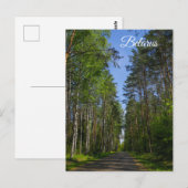 Natuur Landschapslandschap Forest Birch Belarus Briefkaart (Voorkant / Achterkant)