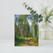 Natuur Landschapslandschap Forest Birch Belarus Briefkaart (Staand voorkant)