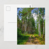 Natuur Landschapslandschap Forest Birch Belarus Briefkaart (Voorkant / Achterkant)