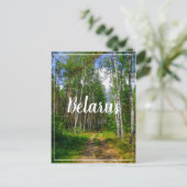 Natuur Landschapslandschap Forest Birch Belarus Briefkaart (Staand voorkant)