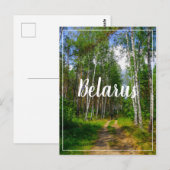 Natuur Landschapslandschap Forest Birch Belarus Briefkaart (Voorkant / Achterkant)