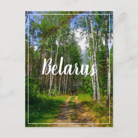 Natuur Landschapslandschap Forest Birch Belarus Briefkaart (Voorkant)