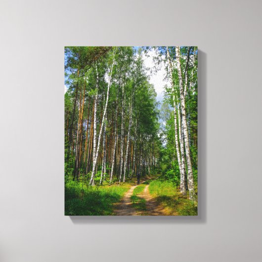 Natuur Landschapslandschap Forest Birch Belarus Canvas Afdruk (Voorkant)