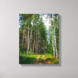 Natuur Landschapslandschap Forest Birch Belarus Canvas Afdruk