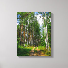 Natuur Landschapslandschap Forest Birch Belarus Canvas Afdruk