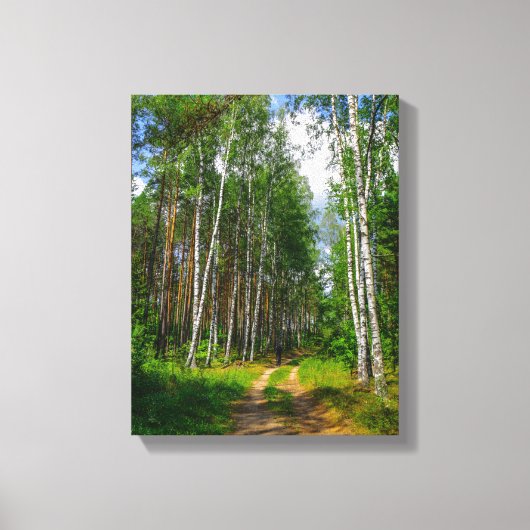 Natuur Landschapslandschap Forest Birch Belarus Canvas Afdruk (Voorkant)