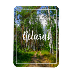 Natuur Landschapslandschap Forest Birch Belarus Magneet