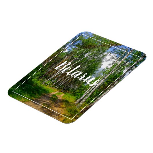 Natuur Landschapslandschap Forest Birch Belarus Magneet (Linkerzijde)