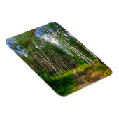 Natuur Landschapslandschap Forest Birch Belarus Magneet (Rechterzijde)