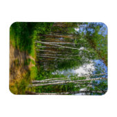Natuur Landschapslandschap Forest Birch Belarus Magneet (Horizontaal)