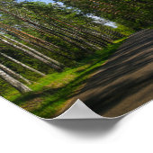 Natuur Landschapslandschap Forest Birch Belarus Poster (Hoek)