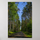 Natuur Landschapslandschap Forest Birch Belarus Poster (Voorkant)