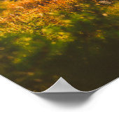 Natuur Landschapslandschap Forest Spider Spiderweb Poster (Hoek)