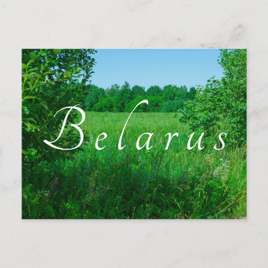 Natuur Landschapslandschap Groen Veldbos Briefkaart (Voorkant)