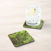 Natuur Landschapslandschap Wit-Rusland Bier Onderzetter (Rechterzijde)