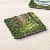 Natuur Landschapslandschap Wit-Rusland Bier Onderzetter (Linkerzijde)