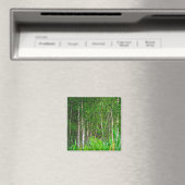 Natuur landschapslandschappen magneet (Insitu (Vaatwasser))