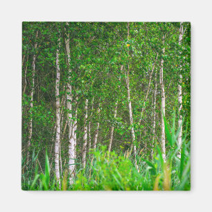 Natuur landschapslandschappen magneet