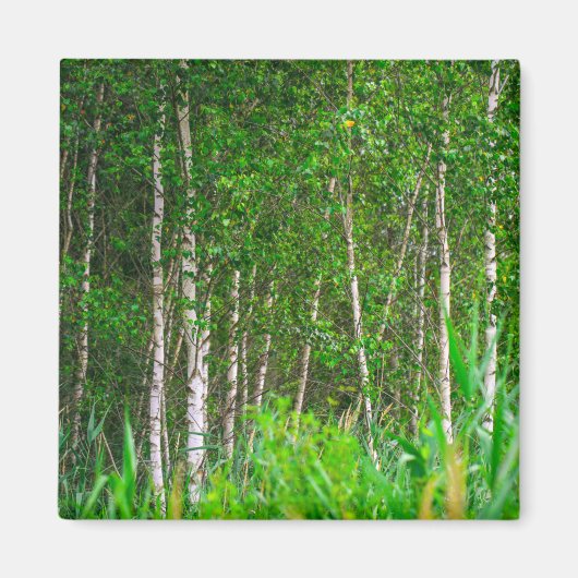 Natuur landschapslandschappen magneet (Voorkant)