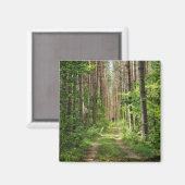 Natuur Landschapslandschapsbos Bot Wit-Rusland Magneet (Voorkant / Achterkant)