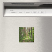 Natuur Landschapslandschapsbos Bot Wit-Rusland Magneet (Insitu (Vaatwasser))