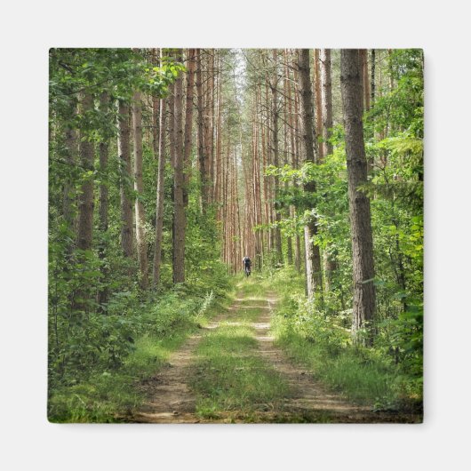 Natuur Landschapslandschapsbos Bot Wit-Rusland Magneet (Voorkant)