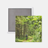 Natuur Landschapslandschapsbos Bot Wit-Rusland Magneet (Voorkant / Achterkant)