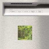 Natuur Landschapslandschapsbos Bot Wit-Rusland Magneet (Insitu (Vaatwasser))