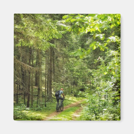 Natuur Landschapslandschapsbos Bot Wit-Rusland Magneet (Voorkant)