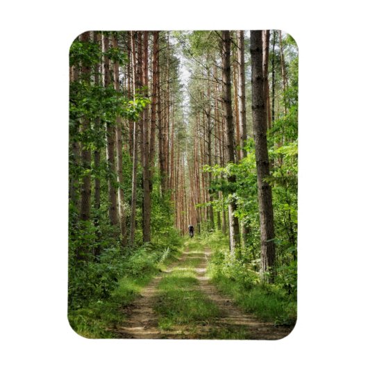 Natuur Landschapslandschapsbos Bot Wit-Rusland Magneet (Verticaal)