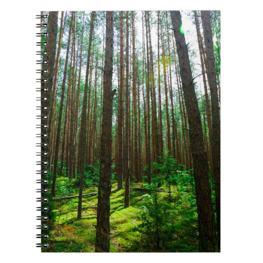 Natuur Landschapslandschapsbos Bot Wit-Rusland Notitieboek (Voorkant)