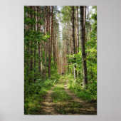 Natuur Landschapslandschapsbos Bot Wit-Rusland Poster (Voorkant)
