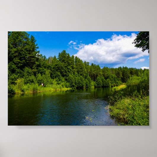 Natuur landschapslandschapsmeer Bomen Wit-Poster Poster (Voorkant)
