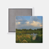 Natuur Landschapslandschapsmeer Wit-Rusland Magneet (Voorkant / Achterkant)