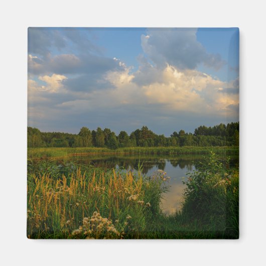 Natuur Landschapslandschapsmeer Wit-Rusland Magneet (Voorkant)