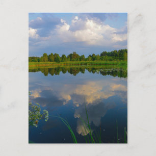 Natuur Landschapslandschapsmeer Wit-Russisch Brief Briefkaart