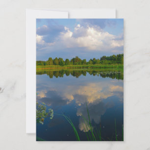 Natuur Landschapslandschapsmeer Wit-Russische plat