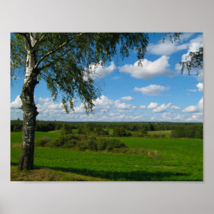 Natuur landschapslandschapsweide Wit-Rusland Poste Poster