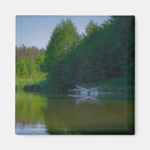 Natuur landschapsscheuren vliegen magneet