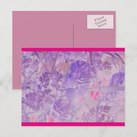 Natuur lavender briefkaart (Voorkant / Achterkant)