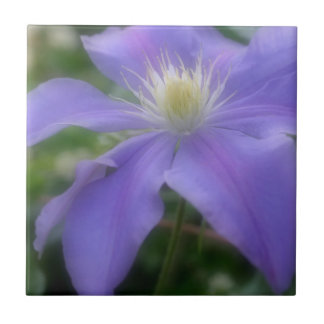 Natuur lavender Clematis-ventilator Tegeltje
