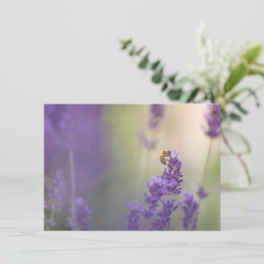 Natuur lavender Flower Honeybee (Staand voorkant)