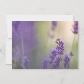 Natuur lavender Flower Honeybee (Voorkant)