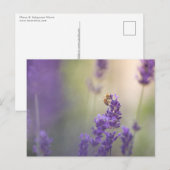 Natuur Lavender Flower Honeybee Briefkaart (Voorkant / Achterkant)